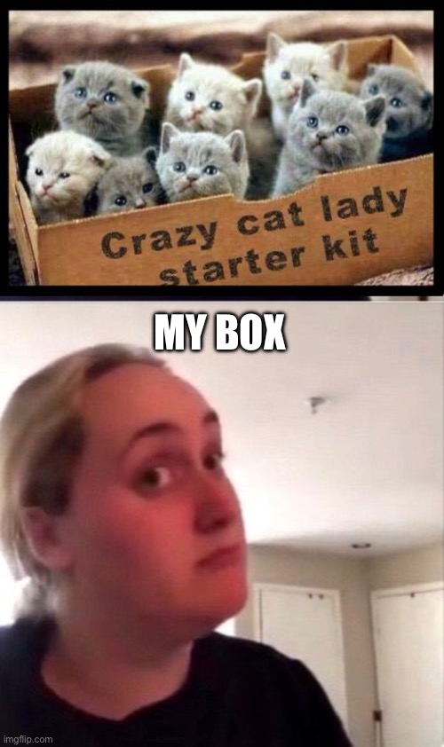 MY BOX | image tagged in crazy cat lady starter kit,woman trying kombutcha | made w/ Imgflip meme maker