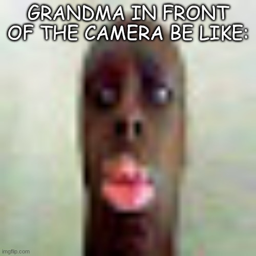 being infront of the camera b like | GRANDMA IN FRONT OF THE CAMERA BE LIKE: | image tagged in grandma,lel | made w/ Imgflip meme maker
