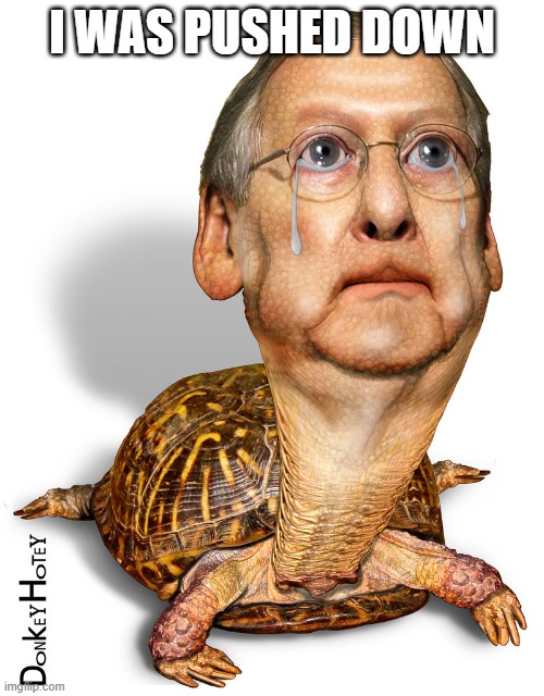 Turtle Mitch Crying | I WAS PUSHED DOWN | image tagged in turtle mitch crying | made w/ Imgflip meme maker
