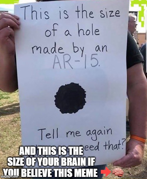 ar15 | AND THIS IS THE SIZE OF YOUR BRAIN IF YOU BELIEVE THIS MEME | image tagged in ar15 | made w/ Imgflip meme maker