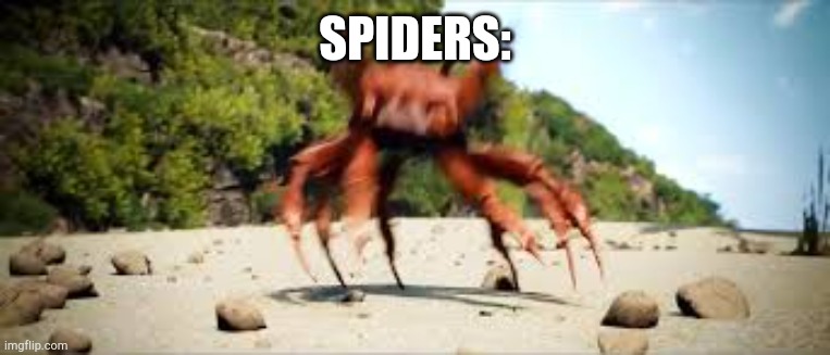 crab rave | SPIDERS: | image tagged in crab rave | made w/ Imgflip meme maker