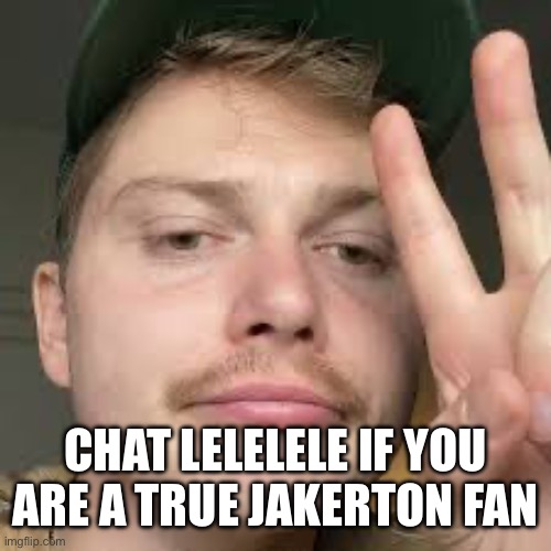 Jakerton | CHAT LELELELE IF YOU ARE A TRUE JAKERTON FAN | image tagged in hampter | made w/ Imgflip meme maker