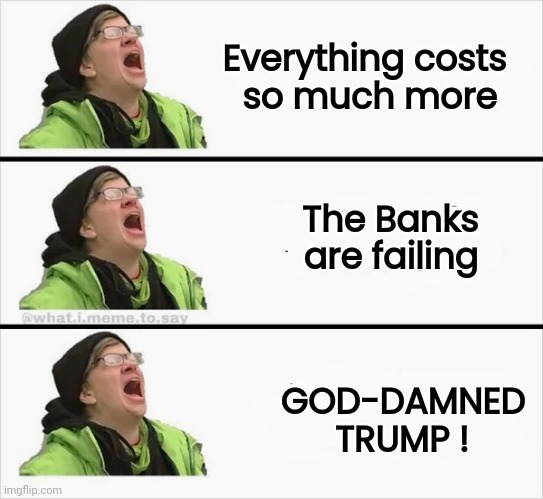 Whining Liberal | Everything costs  
 so much more GOD-DAMNED
 TRUMP ! The Banks     
are failing | image tagged in whining liberal | made w/ Imgflip meme maker