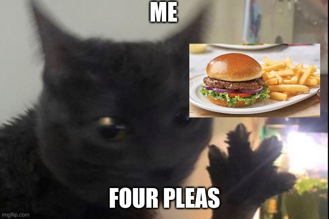 4 dabloons | ME; FOUR PLEAS | image tagged in cats | made w/ Imgflip meme maker