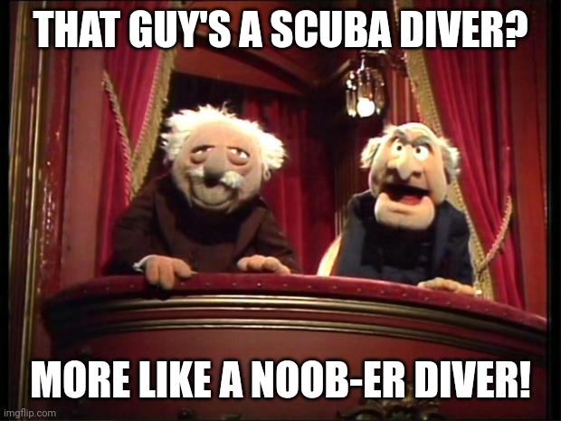 Noob-er diver | THAT GUY'S A SCUBA DIVER? MORE LIKE A NOOB-ER DIVER! | image tagged in statler and waldorf | made w/ Imgflip meme maker