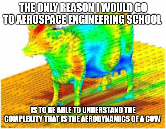 I seek to understand the complexity of the aerodynamics of a cow | THE ONLY REASON I WOULD GO TO AEROSPACE ENGINEERING SCHOOL; IS TO BE ABLE TO UNDERSTAND THE COMPLEXITY THAT IS THE AERODYNAMICS OF A COW | image tagged in aerodynamics of a cow | made w/ Imgflip meme maker