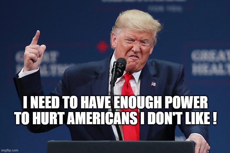 I NEED TO HAVE ENOUGH POWER TO HURT AMERICANS I DON'T LIKE ! | made w/ Imgflip meme maker