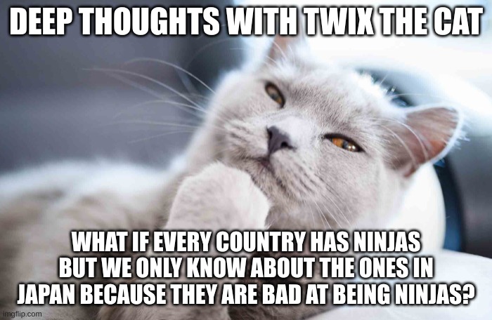 DEEP THOUGHTS WITH TWIX THE CAT; WHAT IF EVERY COUNTRY HAS NINJAS BUT WE ONLY KNOW ABOUT THE ONES IN JAPAN BECAUSE THEY ARE BAD AT BEING NINJAS? | image tagged in cute cat,deep thoughts,shower thoughts,cats,thinking | made w/ Imgflip meme maker