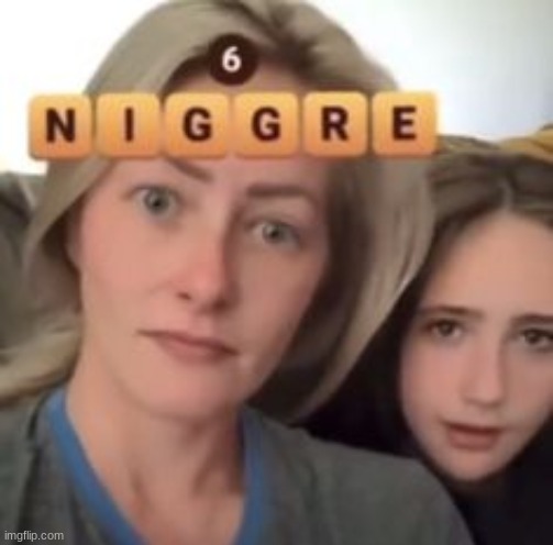 technically not the n word, so site mods cant ban me >:) | made w/ Imgflip meme maker