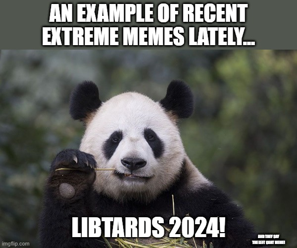 Over and over again.  No real original thought....... | AN EXAMPLE OF RECENT EXTREME MEMES LATELY... LIBTARDS 2024! AND THEY SAY THE LEFT CANT MEME! | image tagged in panda eating bamboo | made w/ Imgflip meme maker