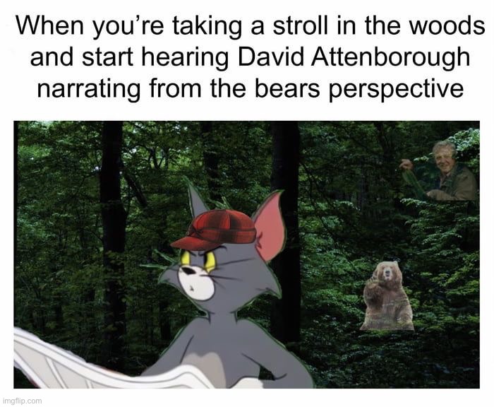 image tagged in memes,funny | made w/ Imgflip meme maker