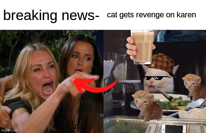 Woman Yelling At Cat | breaking news-; cat gets revenge on karen | image tagged in memes,woman yelling at cat | made w/ Imgflip meme maker