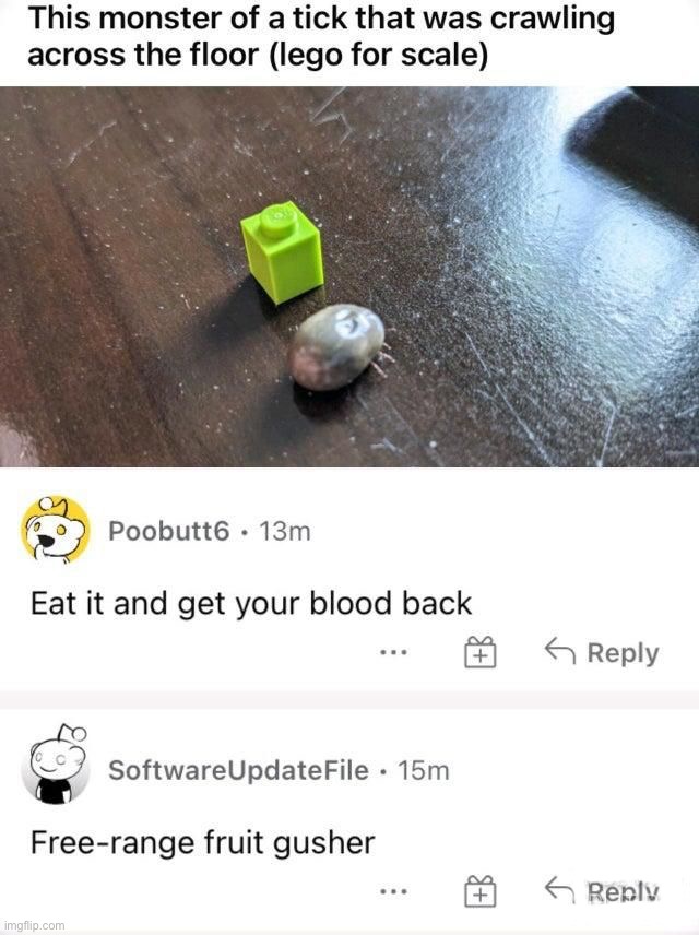 Mmmm | image tagged in memes,funny,cursed comment | made w/ Imgflip meme maker