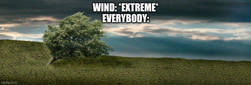 One time it was REALLY windy & COLD | WIND: *EXTREME*
EVERYBODY: | image tagged in swaying tree,wind,grass,everybody,cold,meme | made w/ Imgflip meme maker