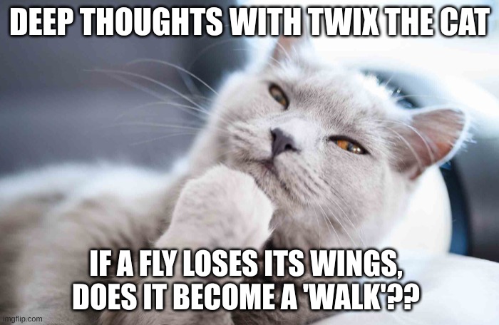 Deep Thoughts Meme Generator - Imgflip