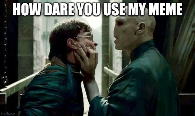 Voldemort and Harry | HOW DARE YOU USE MY MEME | image tagged in voldemort and harry | made w/ Imgflip meme maker