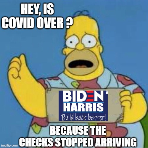 Work from Home..or Not | HEY, IS COVID OVER ? BECAUSE THE CHECKS STOPPED ARRIVING | image tagged in leftists,democrats,liberals,bank,cv | made w/ Imgflip meme maker