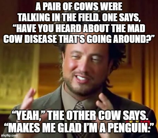 Ancient Aliens Meme | A PAIR OF COWS WERE TALKING IN THE FIELD. ONE SAYS, “HAVE YOU HEARD ABOUT THE MAD COW DISEASE THAT’S GOING AROUND?”; “YEAH,” THE OTHER COW SAYS. “MAKES ME GLAD I’M A PENGUIN.” | image tagged in memes,ancient aliens,cow,mad cow,penguin,why are you reading the tags | made w/ Imgflip meme maker