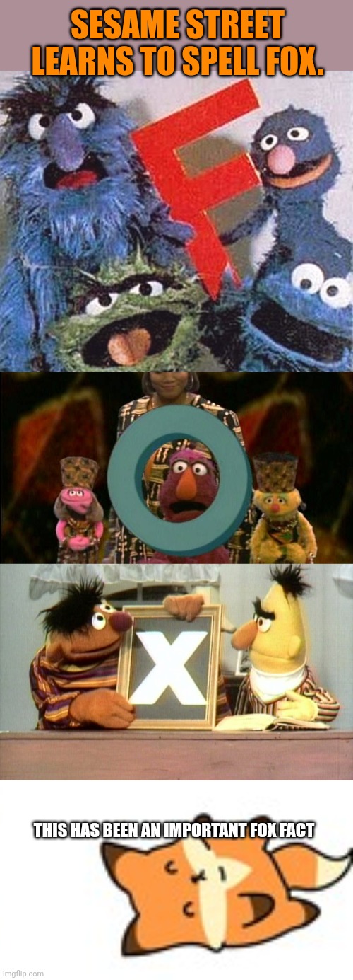Popular imgflip trends | SESAME STREET LEARNS TO SPELL FOX. THIS HAS BEEN AN IMPORTANT FOX FACT | image tagged in sesame street letter f,popular,trends | made w/ Imgflip meme maker