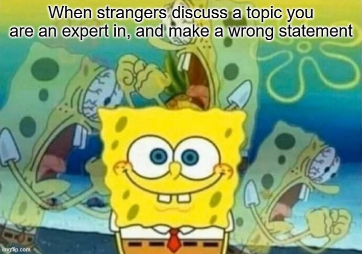 Life | When strangers discuss a topic you are an expert in, and make a wrong statement | image tagged in spongebob internal screaming,memes,relatable | made w/ Imgflip meme maker