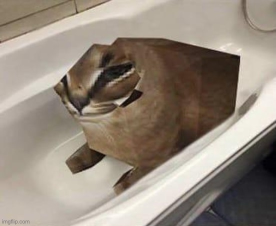 Floppa Tub | image tagged in floppa tub | made w/ Imgflip meme maker