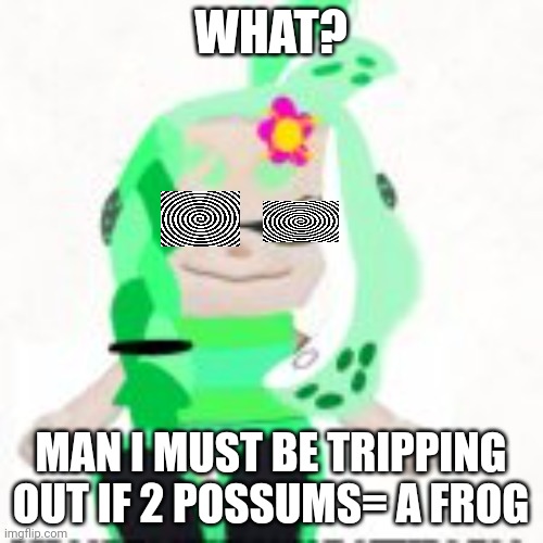 Low quality image of a mint houzuki plush | WHAT? MAN I MUST BE TRIPPING OUT IF 2 POSSUMS= A FROG | image tagged in low quality image of a mint houzuki plush | made w/ Imgflip meme maker