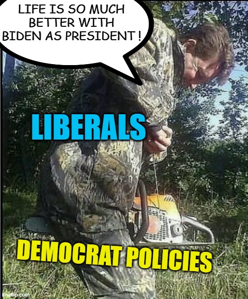 Biden voters in blue states: How are things going for ya? | LIFE IS SO MUCH BETTER WITH BIDEN AS PRESIDENT ! LIBERALS; DEMOCRAT POLICIES | image tagged in political meme,stupid liberals,democrats,fjb | made w/ Imgflip meme maker