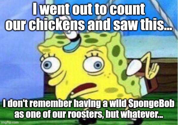 We have a wild SpongeBob as one of our chickens | I went out to count our chickens and saw this... I don't remember having a wild SpongeBob as one of our roosters, but whatever... | image tagged in memes,mocking spongebob | made w/ Imgflip meme maker