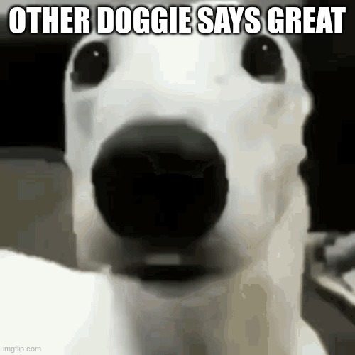 ,, | OTHER DOGGIE SAYS GREAT | made w/ Imgflip meme maker