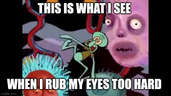 I rubbed my eyes too hard and now I'm in the fly of dispair | THIS IS WHAT I SEE; WHEN I RUB MY EYES TOO HARD | image tagged in spongebob | made w/ Imgflip meme maker