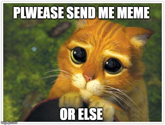 Shrek Cat Meme | PLWEASE SEND ME MEME; OR ELSE | image tagged in memes,shrek cat | made w/ Imgflip meme maker