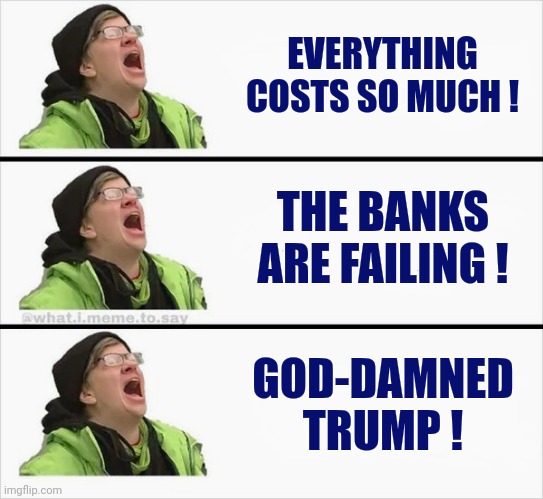 Biden Voters be like | EVERYTHING COSTS SO MUCH ! THE BANKS ARE FAILING ! GOD-DAMNED TRUMP ! | image tagged in whining liberal,trump derangement syndrome,let's go brandon,leave me alone,stupid liberals | made w/ Imgflip meme maker