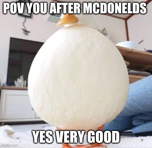 duck from ohio | POV YOU AFTER MCDONELDS; YES VERY GOOD | image tagged in nft | made w/ Imgflip meme maker