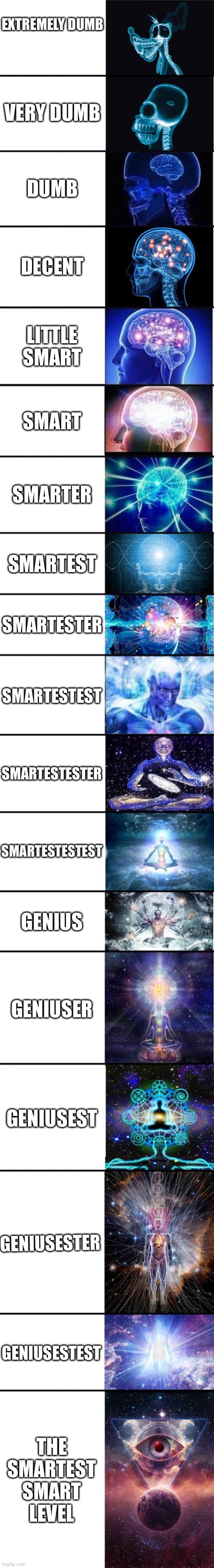 expanding brain: 9001 | EXTREMELY DUMB; VERY DUMB; DUMB; DECENT; LITTLE SMART; SMART; SMARTER; SMARTEST; SMARTESTER; SMARTESTEST; SMARTESTESTER; SMARTESTESTEST; GENIUS; GENIUSER; GENIUSEST; GENIUSESTER; GENIUSESTEST; THE SMARTEST SMART LEVEL | image tagged in expanding brain 9001 | made w/ Imgflip meme maker