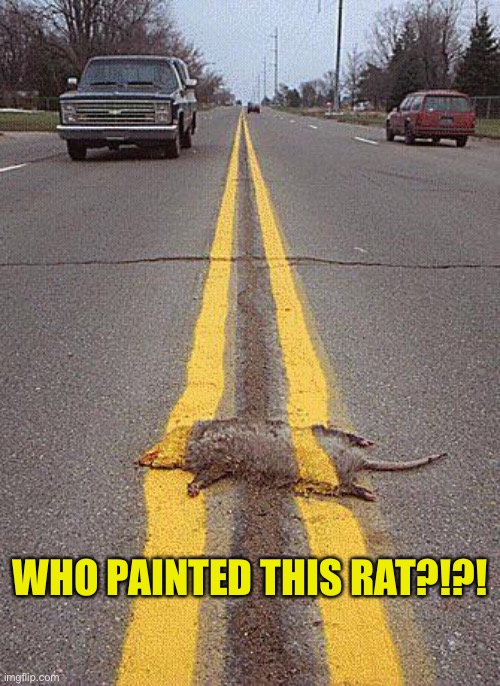 Who painted this Rat?!?! | WHO PAINTED THIS RAT?!?! | image tagged in you had one job,memes,funny | made w/ Imgflip meme maker