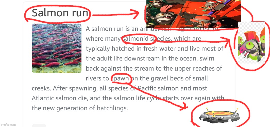 Salmon run | image tagged in salmon run,splatoon | made w/ Imgflip meme maker