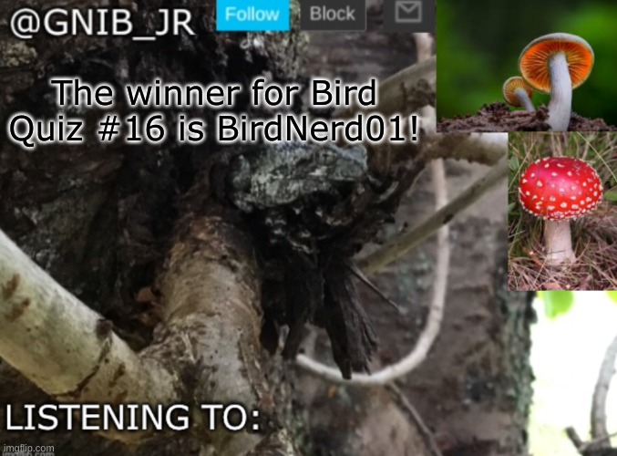 good job | The winner for Bird Quiz #16 is BirdNerd01! | image tagged in gnib_jr's new temp | made w/ Imgflip meme maker