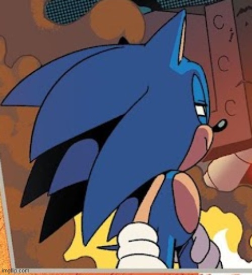 sonic squint | image tagged in sonic squint | made w/ Imgflip meme maker