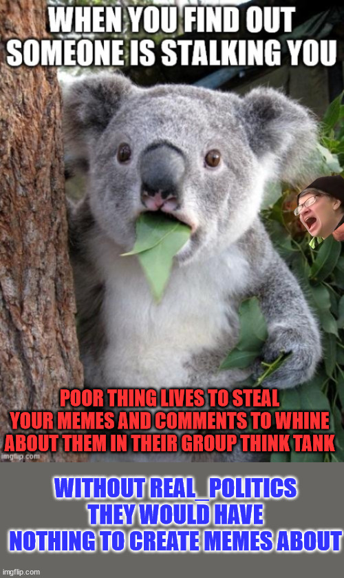 POOR THING LIVES TO STEAL YOUR MEMES AND COMMENTS TO WHINE ABOUT THEM IN THEIR GROUP THINK TANK; WITHOUT REAL_POLITICS THEY WOULD HAVE NOTHING TO CREATE MEMES ABOUT | made w/ Imgflip meme maker
