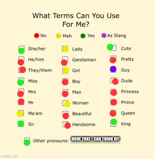 Lovin this template! | NONE THAT I CAN THINK OF! | image tagged in pronouns sheet | made w/ Imgflip meme maker