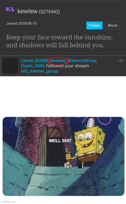 This ain't gonna be good | image tagged in well shit spongebob edition | made w/ Imgflip meme maker