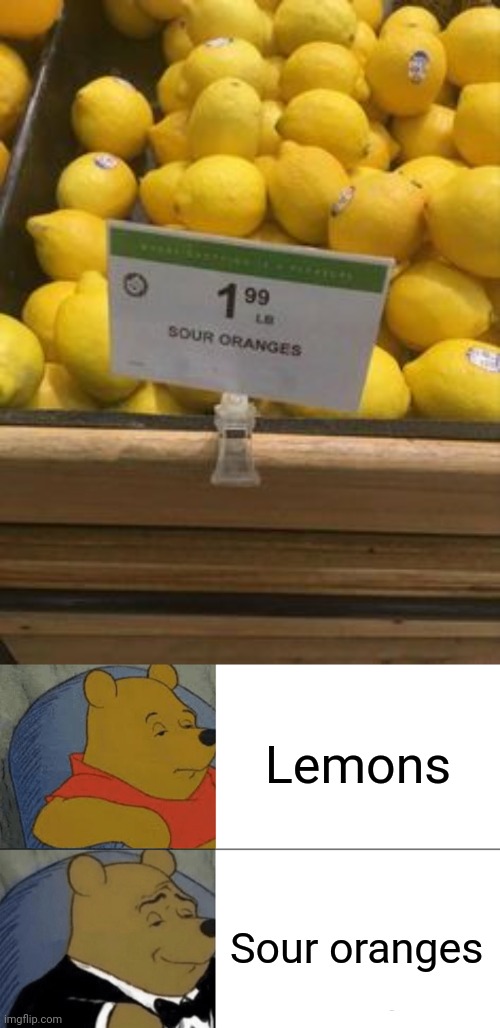Lemons | Lemons; Sour oranges | image tagged in memes,tuxedo winnie the pooh,you had one job,lemons,lemon,fails | made w/ Imgflip meme maker