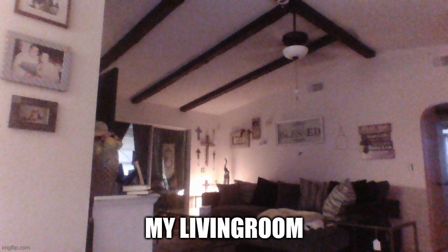 livingroom | MY LIVINGROOM | image tagged in house | made w/ Imgflip meme maker