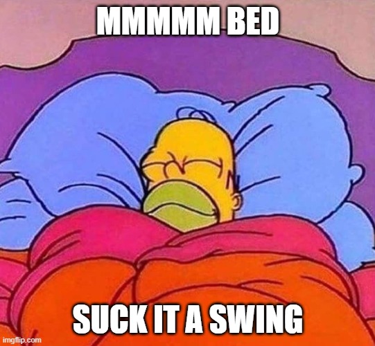 Homer Simpson sleeping peacefully | MMMMM BED; SUCK IT A SWING | image tagged in homer simpson sleeping peacefully | made w/ Imgflip meme maker