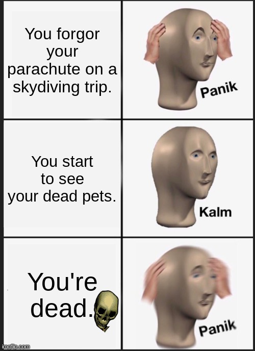 Panik | You forgor your parachute on a skydiving trip. You start to see your dead pets. You're dead. | image tagged in memes,panik kalm panik | made w/ Imgflip meme maker