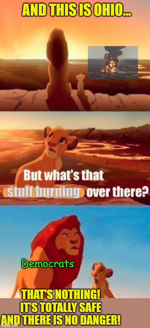 It's totally fine! | AND THIS IS OHIO... stuff burning; Democrats; THAT'S NOTHING! IT'S TOTALLY SAFE AND THERE IS NO DANGER! | image tagged in memes,simba shadowy place,political meme,ohio,train wreck | made w/ Imgflip meme maker