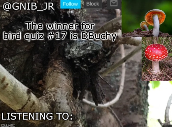 Congrats | The winner for bird quiz #17 is DBuchy | image tagged in gnib_jr's new temp | made w/ Imgflip meme maker
