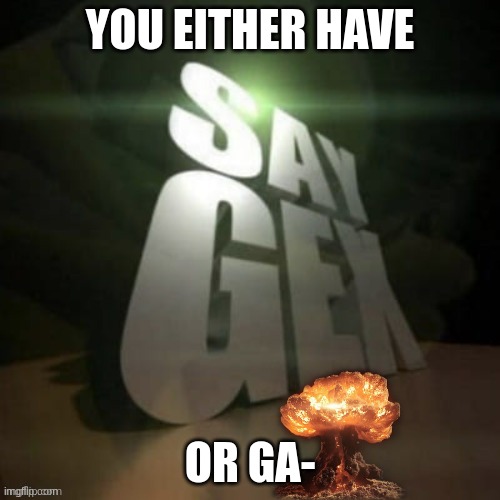say gex | YOU EITHER HAVE; OR GA- | image tagged in say gex | made w/ Imgflip meme maker