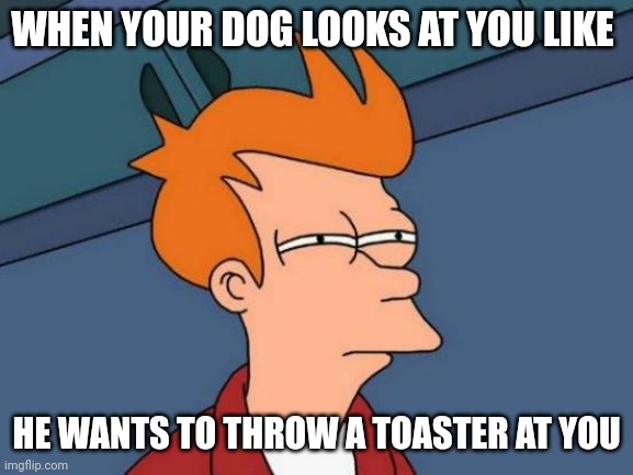 Please don't throw the toaster | WHEN YOUR DOG LOOKS AT YOU LIKE; HE WANTS TO THROW A TOASTER AT YOU | image tagged in memes,futurama fry | made w/ Imgflip meme maker