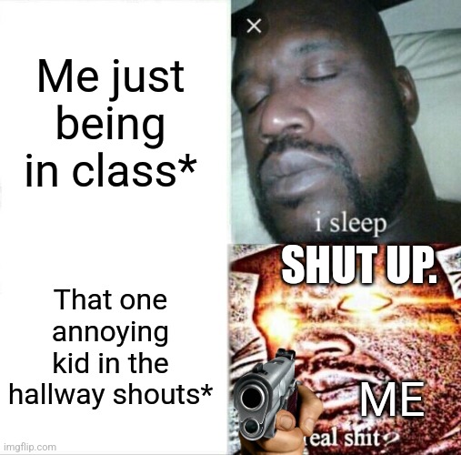 Me just being in class* That one annoying kid in the hallway shouts* SHUT UP. ME | image tagged in memes,sleeping shaq | made w/ Imgflip meme maker